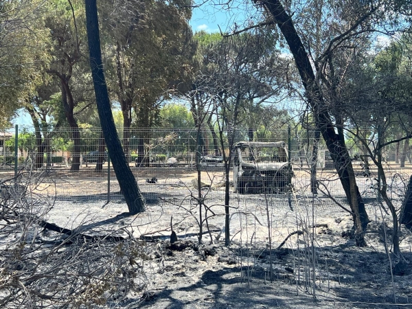 Incendio Metaponto, solidarietà e vicinanza alla comunità da parte del Presidente della Provincia di Matera, Francesco Mancini