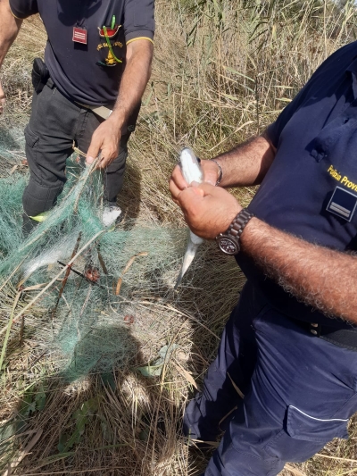 Contrasto alla pesca di frodo, operazione della Polizia Provinciale di Matera: rimossa rete da pesca abusiva al largo della foce del fiume Agri. La soddisfazione del Presidente della Provincia, Francesco Mancini