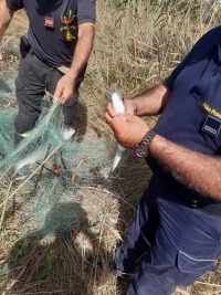 Contrasto alla pesca di frodo, operazione della Polizia Provinciale di Matera: rimossa rete da pesca abusiva al largo della foce del fiume Agri. La soddisfazione del Presidente della Provincia, Francesco Mancini